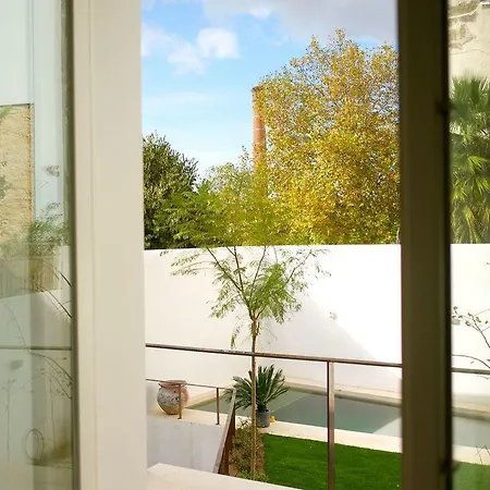 The Late Birds - Gay Urban 4*