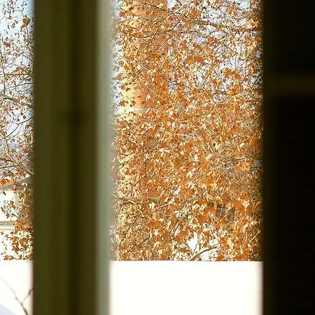 The Late Birds - Gay Urban 게스트하우스 4*