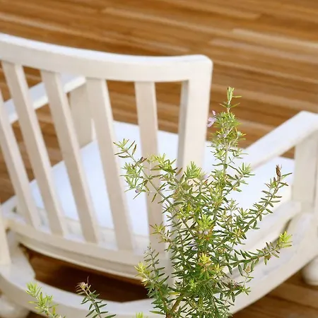 게스트하우스 The Late Birds - Gay Urban 리스본