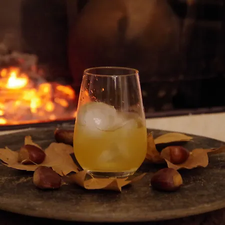 The Late Birds - Gay Urban 게스트하우스 리스본