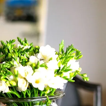 The Late Birds - Gay Urban 게스트하우스