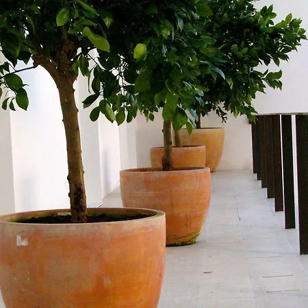 The Late Birds - Gay Urban 게스트하우스 4*