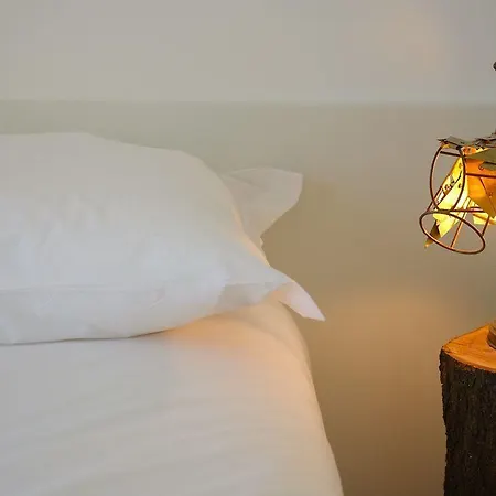 Pensjonat The Late Birds - Gay Urban