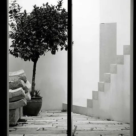 The Late Birds - Gay Urban 4* Lisboa