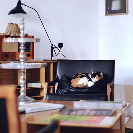 The Late Birds - Gay Urban 4* Lisboa